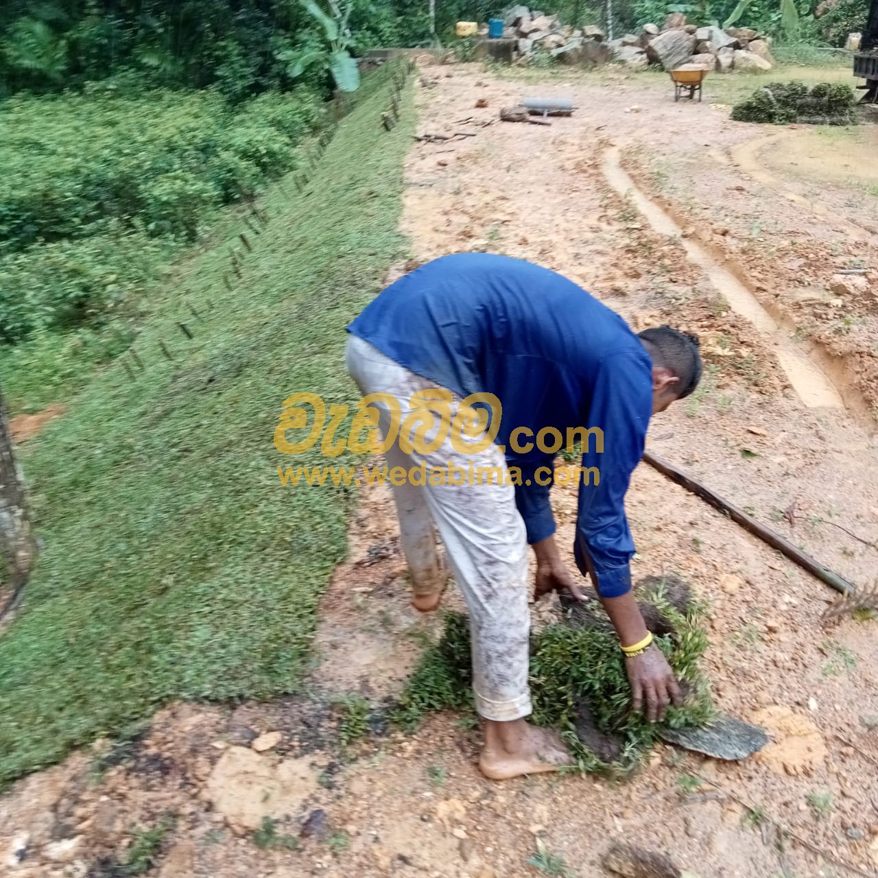 Landscaping Contractors In Colombo