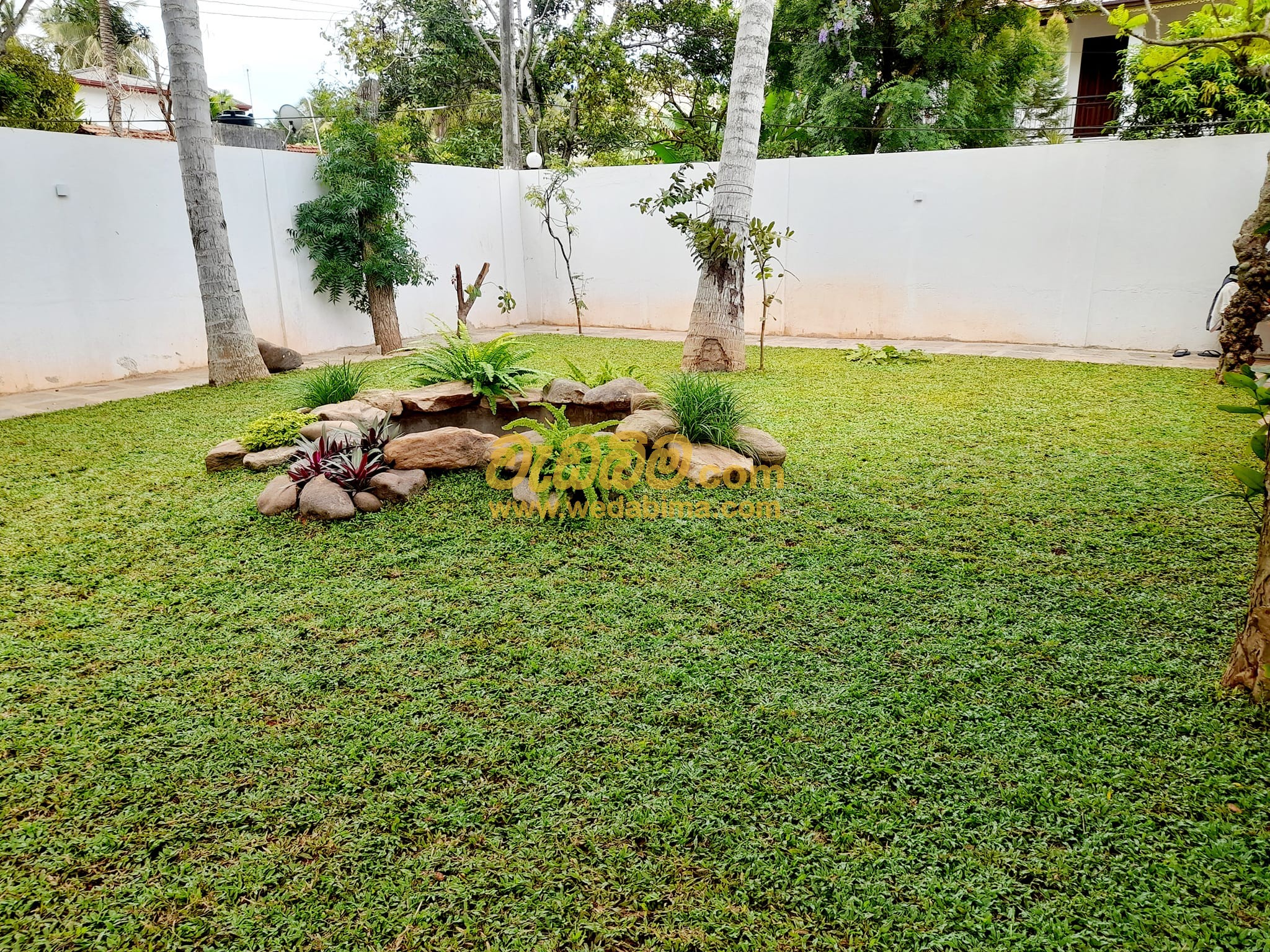 Grass Suppliers In Horana