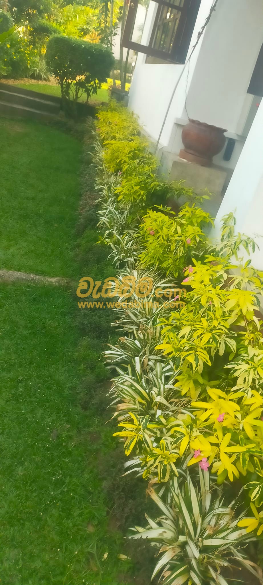 landscaping prices in sri lanka