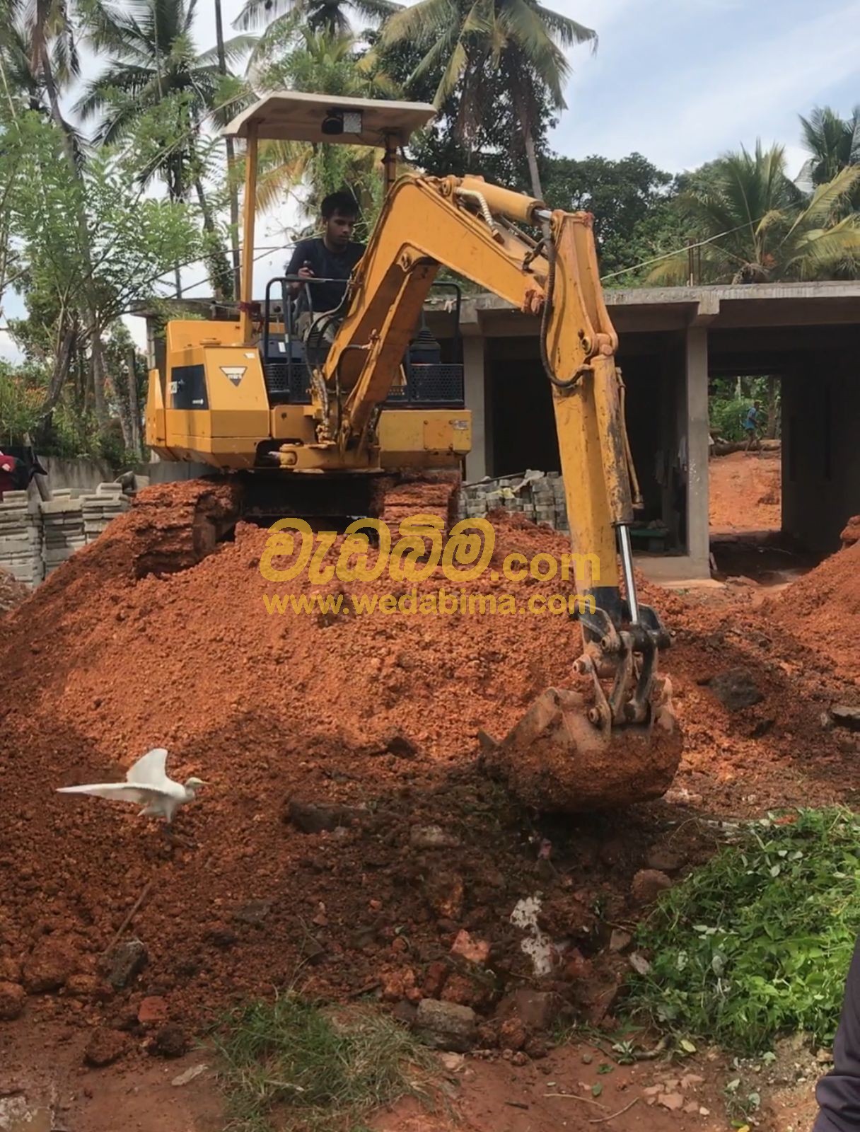 Excavator For Hire in Nittambuwa