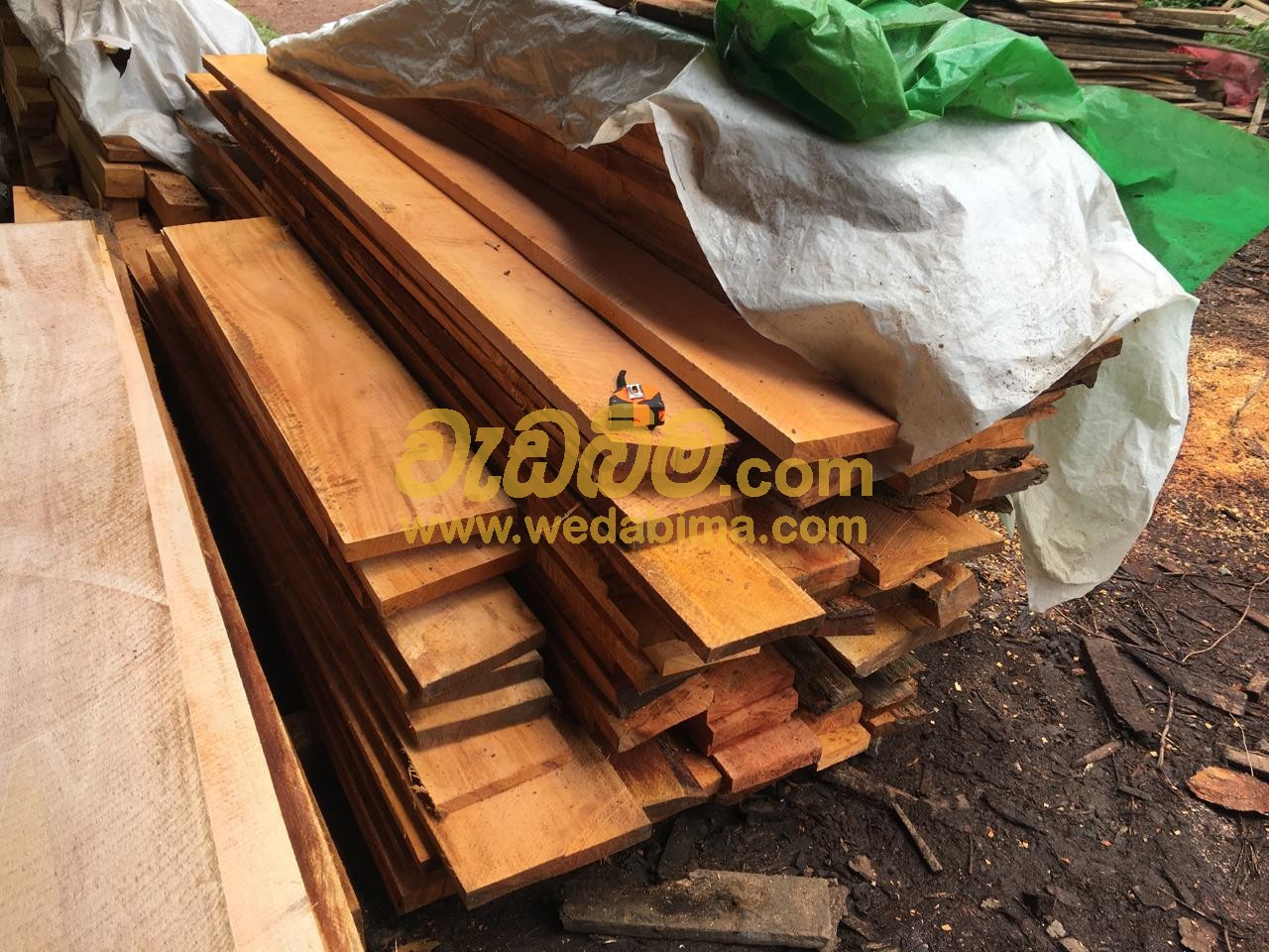 Teak Wood Price in Gampaha