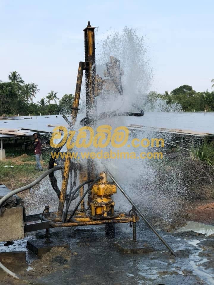 nala lin service sri lanka