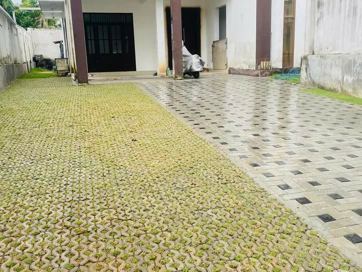 Landscaping Solutions colombo