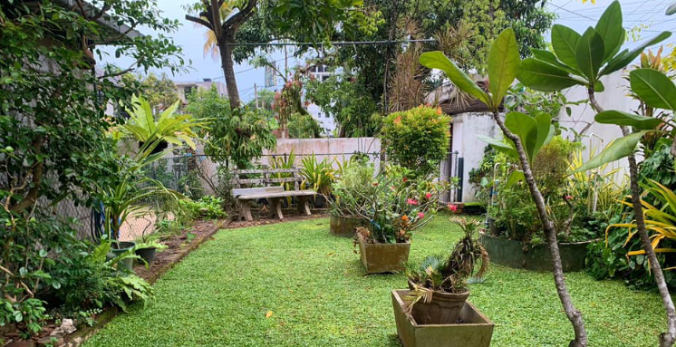 landscaping prices in gampaha