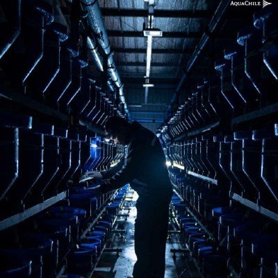 mep contractors in sri lanka