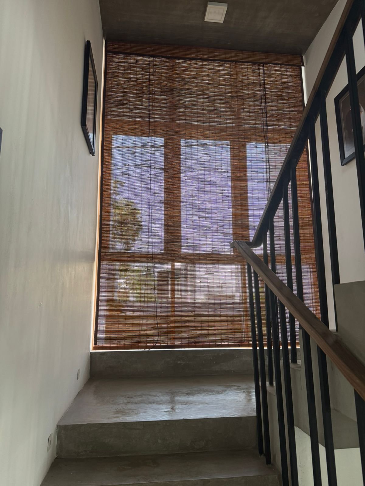 Bata Palali Sri Lanka Best Prices