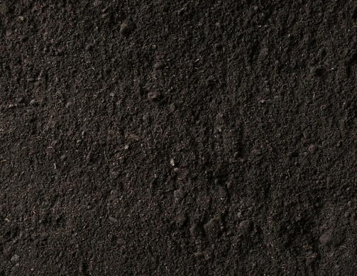 Black Soil supply company in colombo