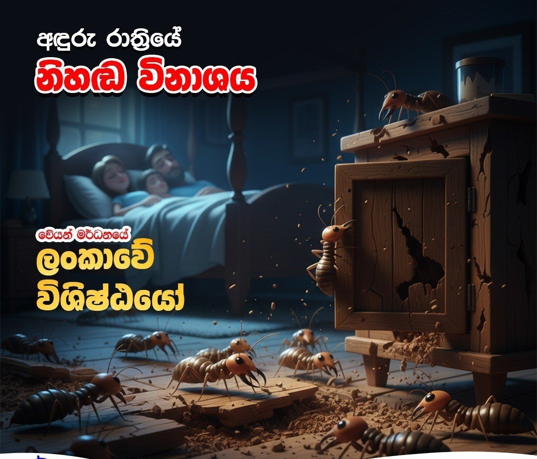 anti termite treatment Puttalam price