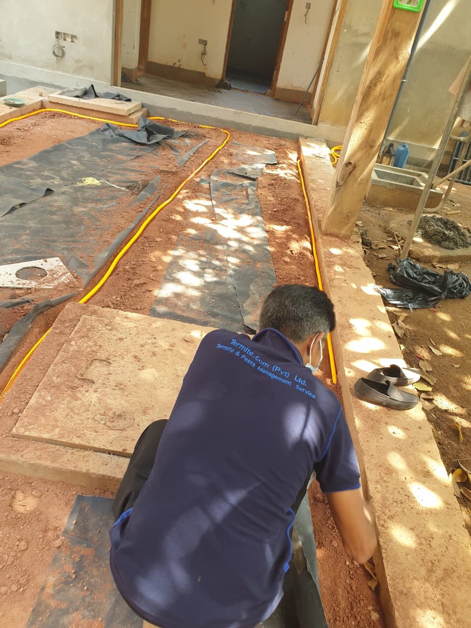 termite treatment contractors in kuliyapitiya