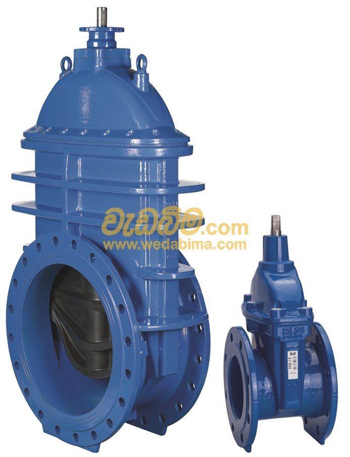 Resilient Seated Flanged Gate Valve