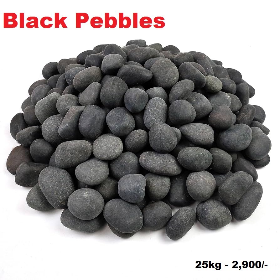 Other image 202606/black-pebble-price-in-gampaha-wedabima-7ddb53b47e.jpeg