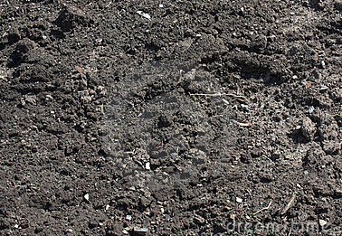 Other image 202606/black-soil-supply-company-in-colombo-wedabima-2b782911a1.png