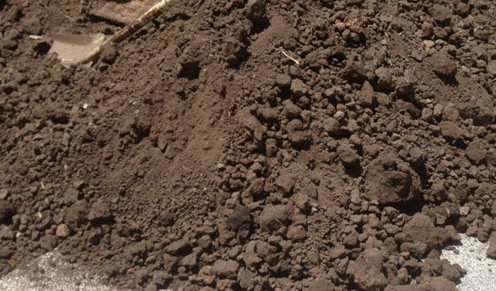 Other image 202606/black-soil-supply-company-in-colombo-wedabima-8cd7db7a7c.jpg