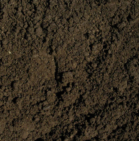 Other image 202606/black-soil-supply-company-in-colombo-wedabima-ed169425a7.png