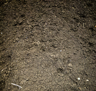 Other image 202606/black-soil-supply-company-in-colombo-wedabima-ed779f2a37.png