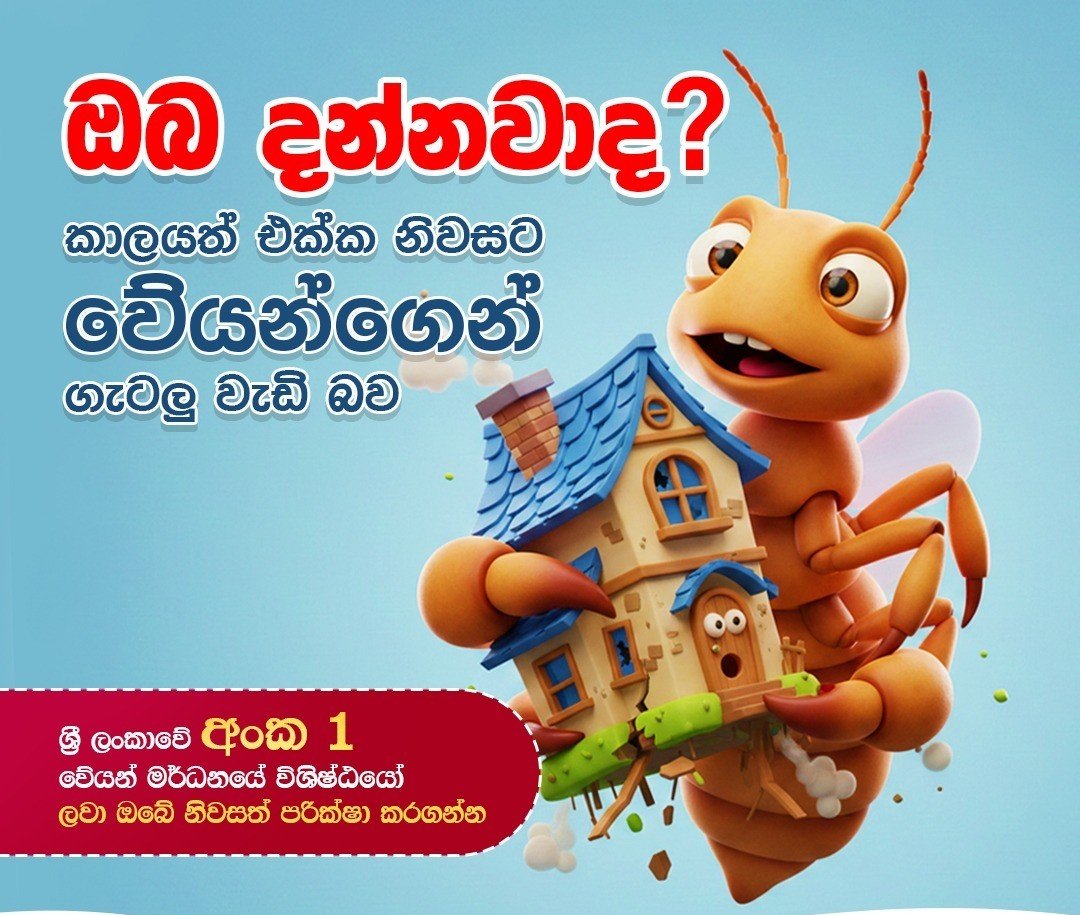 Other image 202608/anti-termite-treatment-chemicals-suppliers-in-kurunegala-sri-lanka-wedabima-23e2139374.jpeg