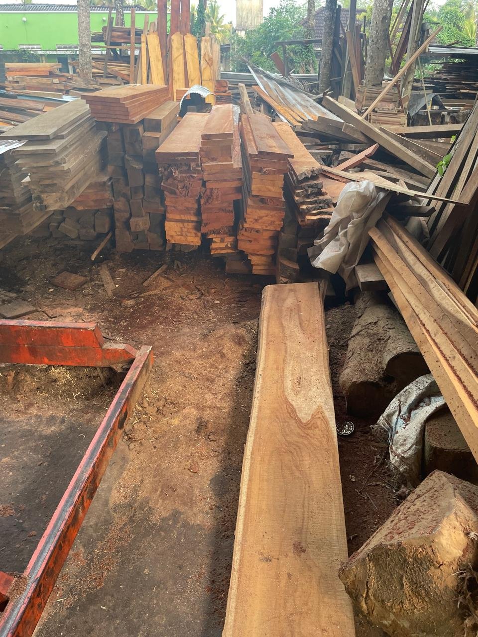 Other image 202608/mahogany-wood-price-in-kurunegala-wedabima-b2fd4b4bb8.jpeg