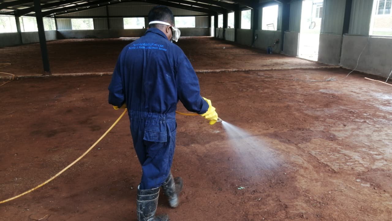 Other image 202608/pest-control-services-in-colombo-wedabima-9e36743f62.jpeg