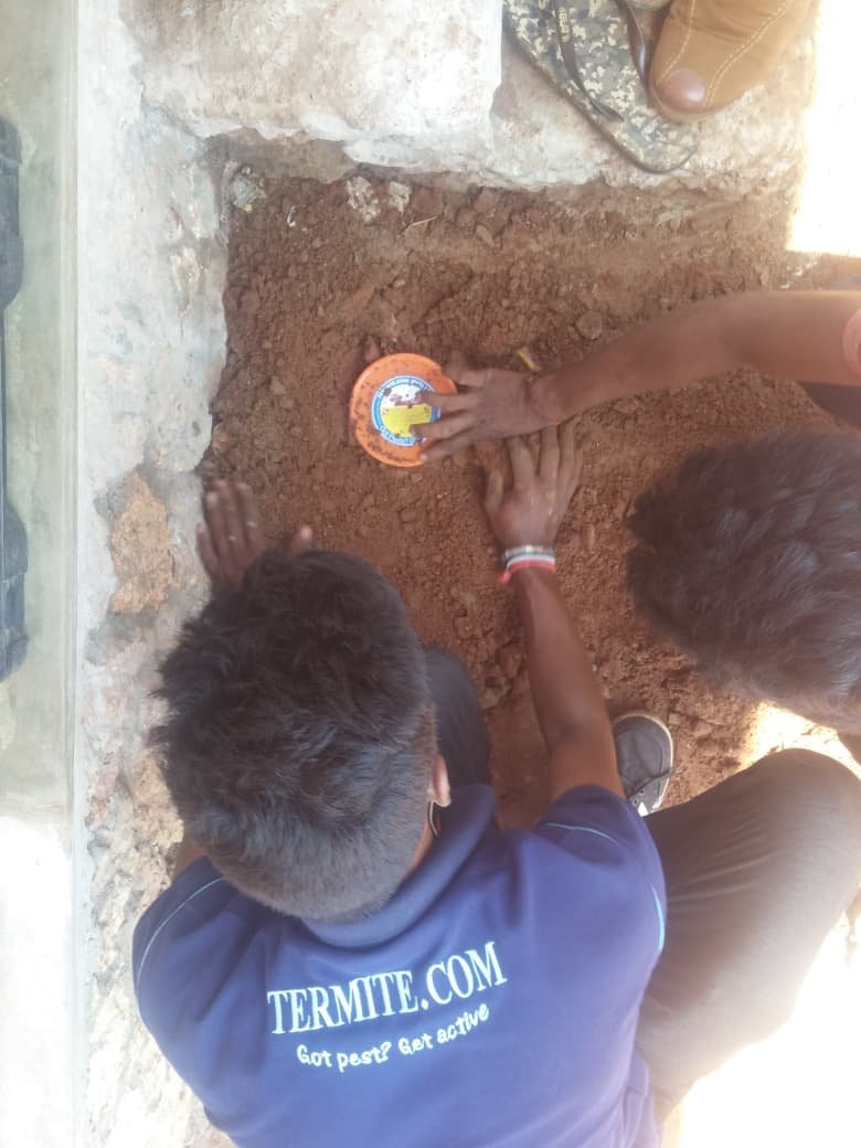 Other image 202608/termite-treatment-chemicals-gampaha-wedabima-312fcc5f72.jpeg