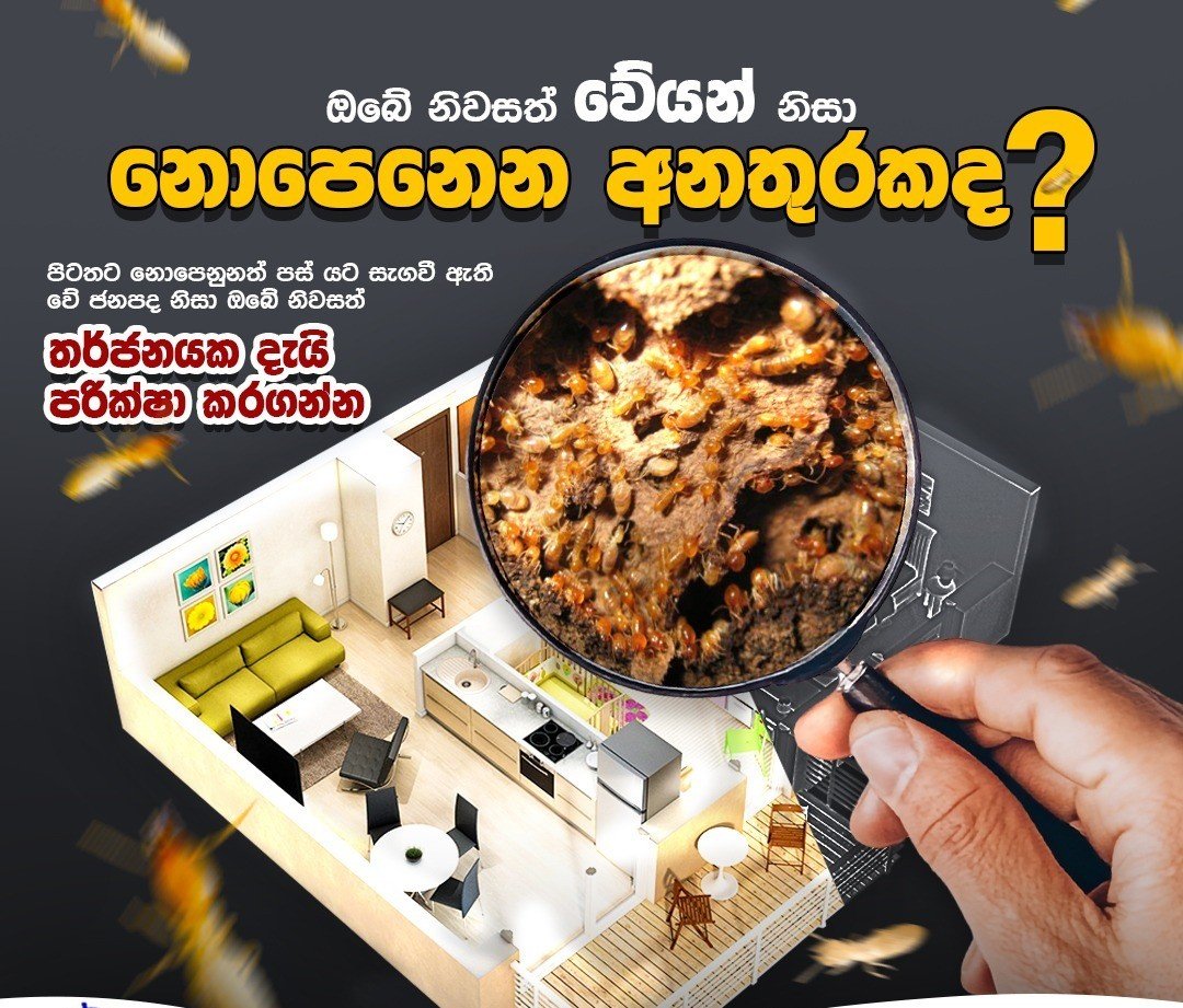 Other image 202608/termite-treatment-jaffna-wedabima-7550b5138f.jpeg
