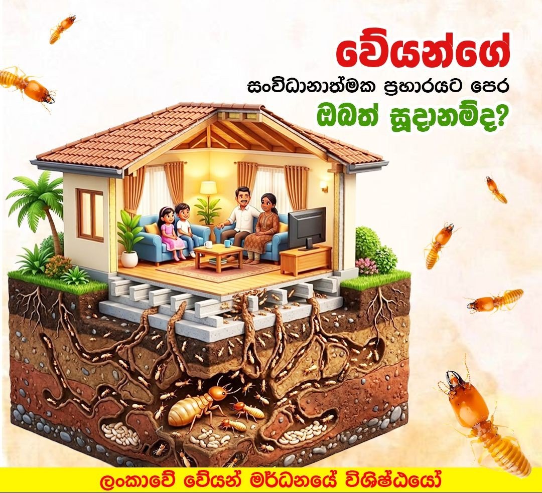 Other image 202608/termite-treatment-kurunegala-wedabima-70260f3a54.jpeg