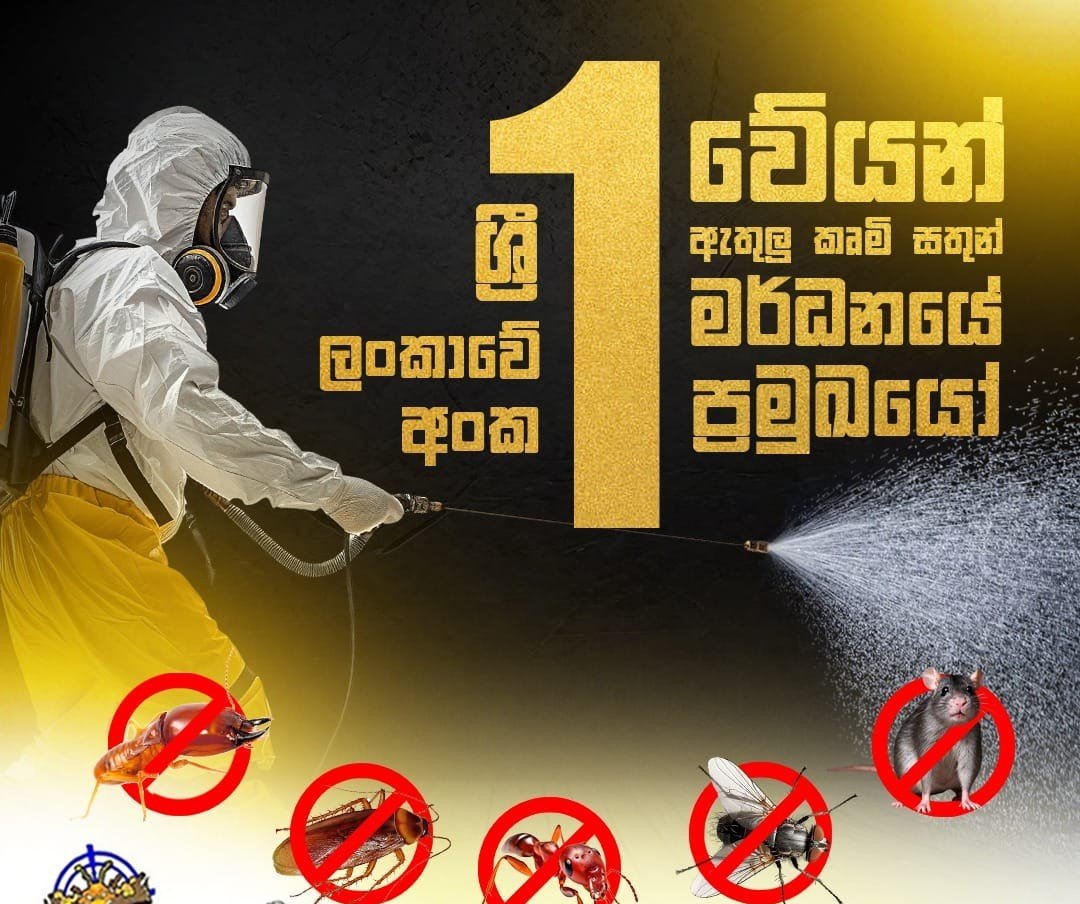 Other image 202608/termite-treatment-kurunegala-wedabima-ec7c5f66fb.jpeg
