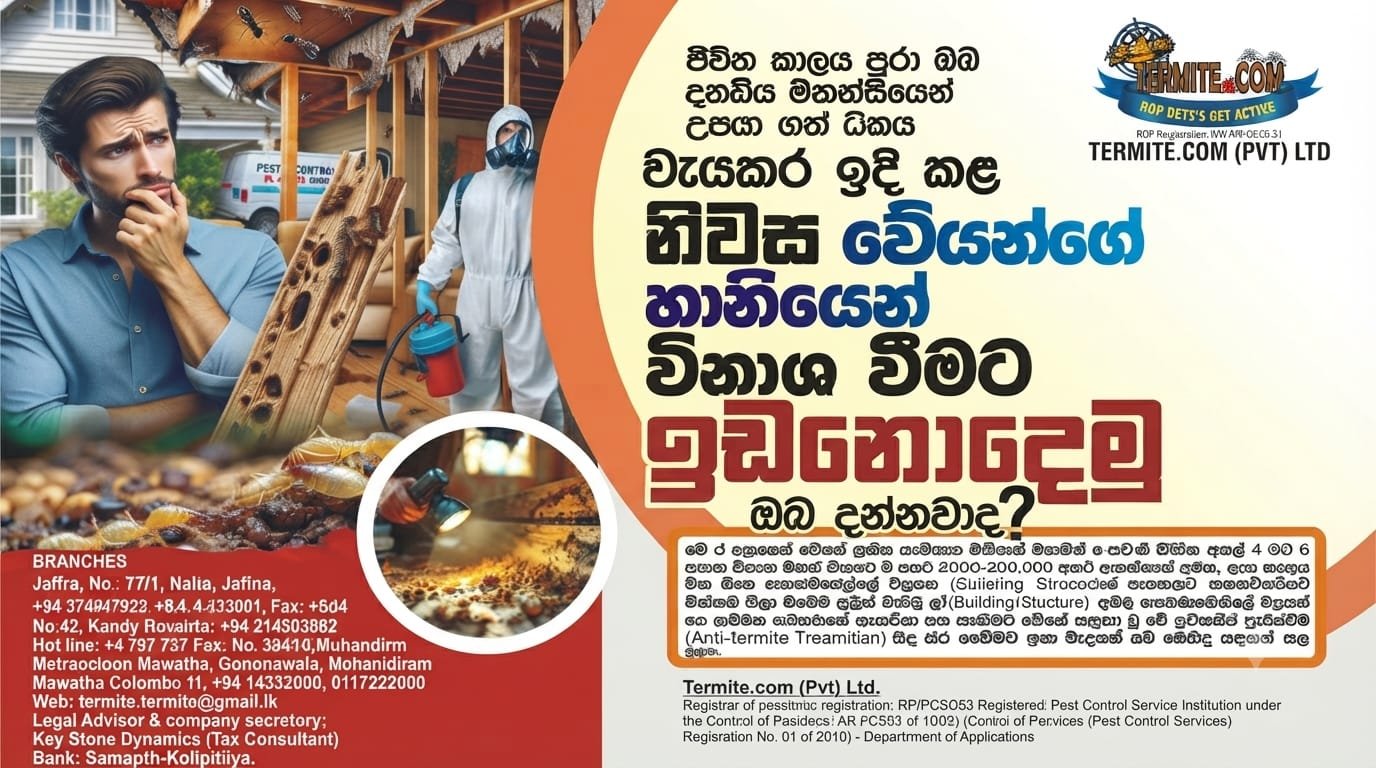 Other image 202608/termitecom-pvt-ltd-wedabima-69b0df3601.jpeg