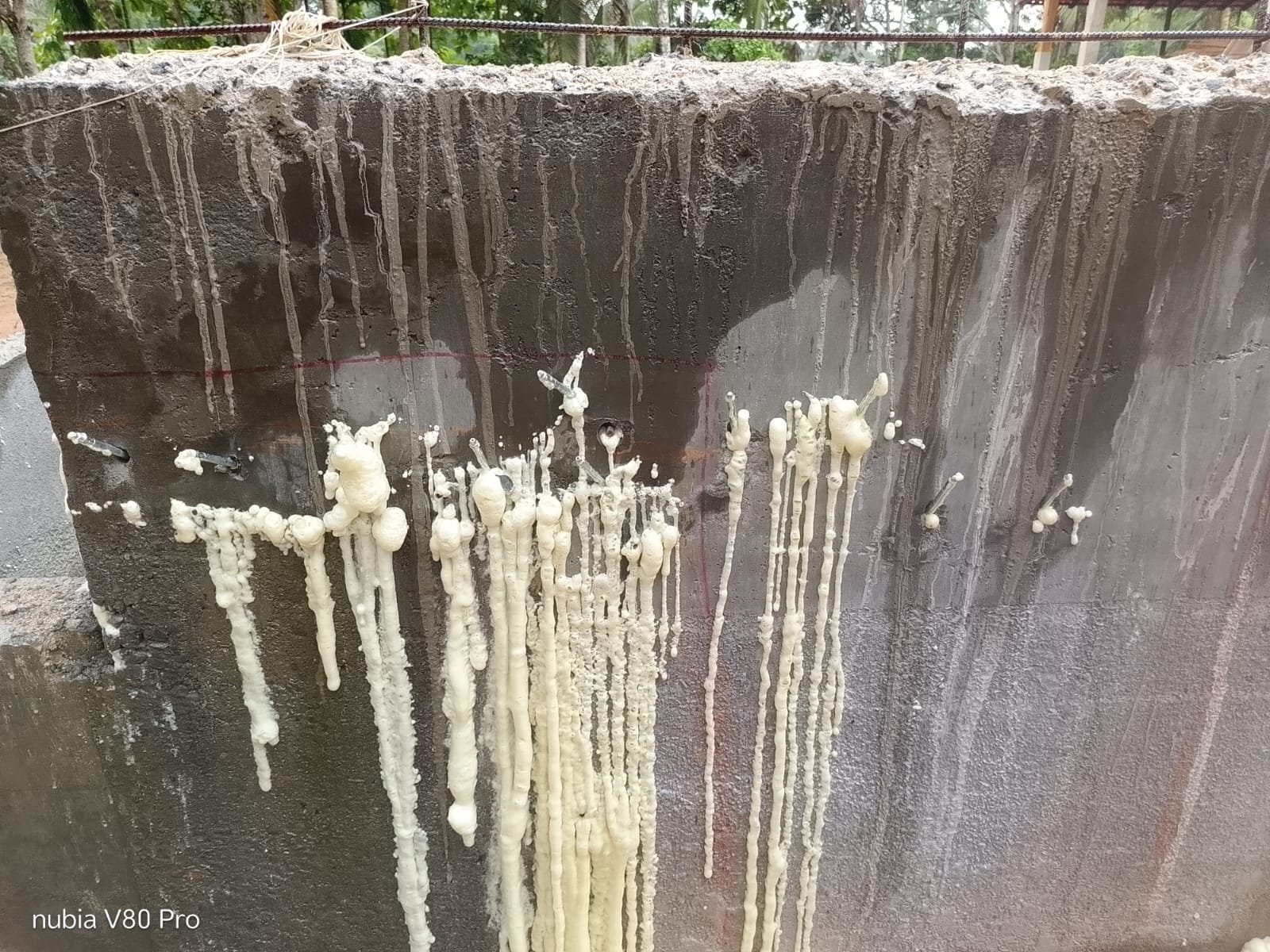 Other image 202608/waterproofing-solution-in-srilanka-wedabima-d99bd0a2f0.jpeg