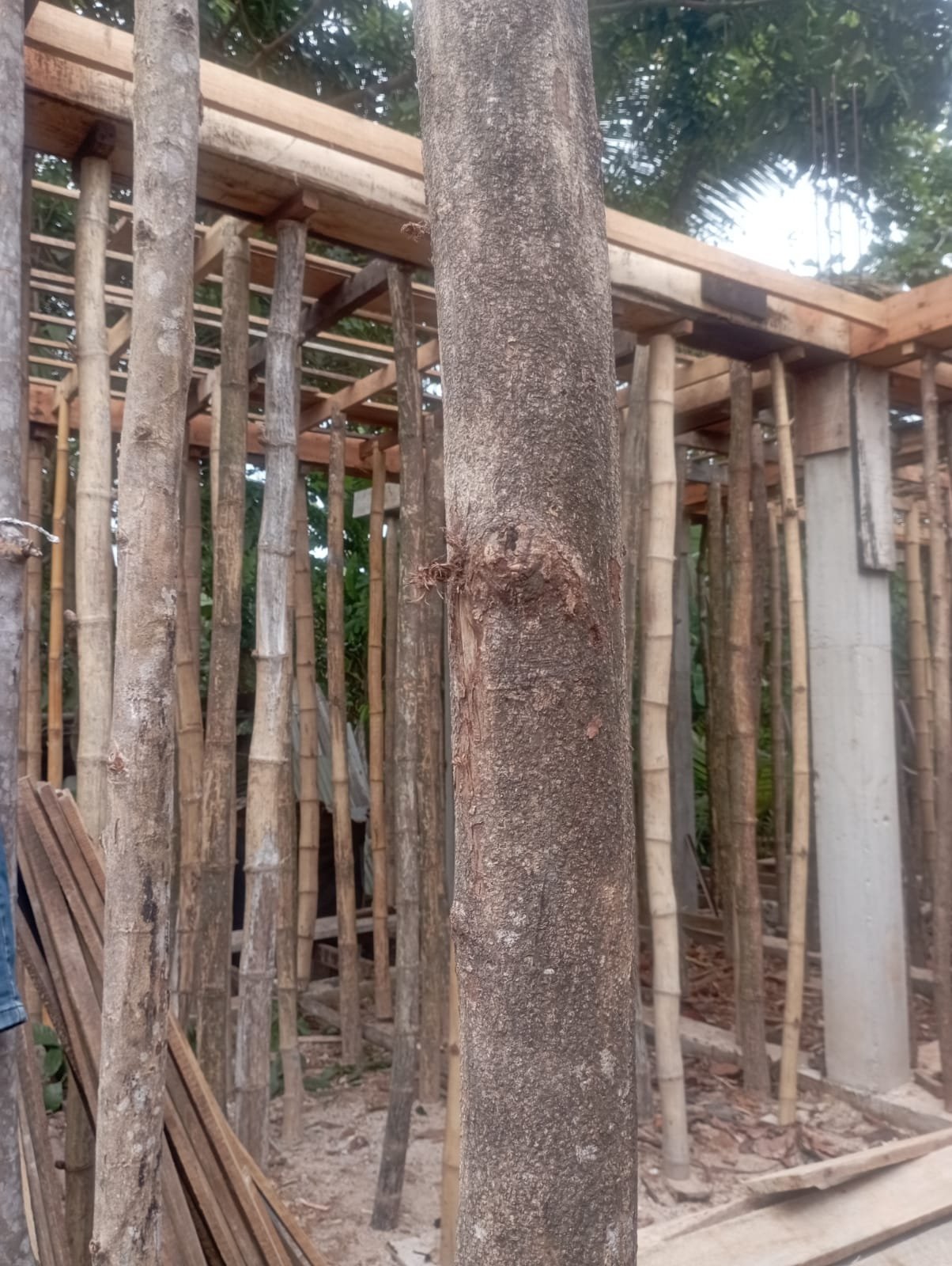 Other image 202609/building-contractors-in-sri-lanka-wedabima-6b03ef80ab.jpeg